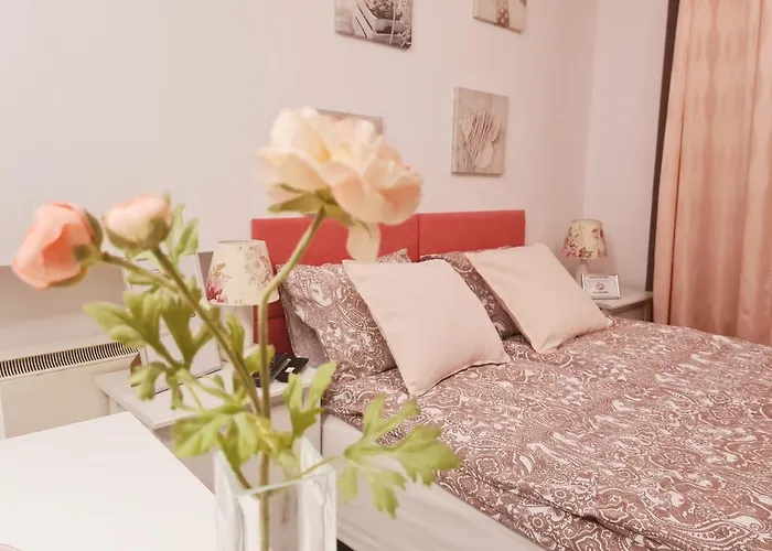 Appartement Best Studio